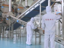 2025年的第一個(gè)月，承德亞歐果仁有限公司在山杏產(chǎn)業(yè)的道路上持續(xù)奮進(jìn)，展現(xiàn)出蓬勃的發(fā)展活力。